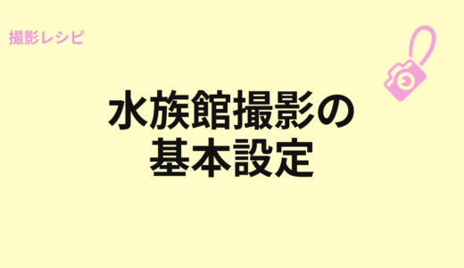 水族館撮影の基本設定