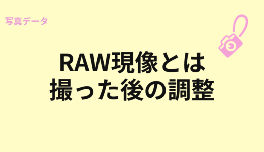RAW現像とは？撮った後にできること
