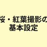 桜と紅葉撮影の基本設定を示すアイキャッチ