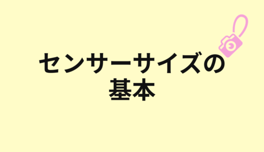 センサーサイズとは？フルサイズ、APS-C、マイクロフォーサーズの違い