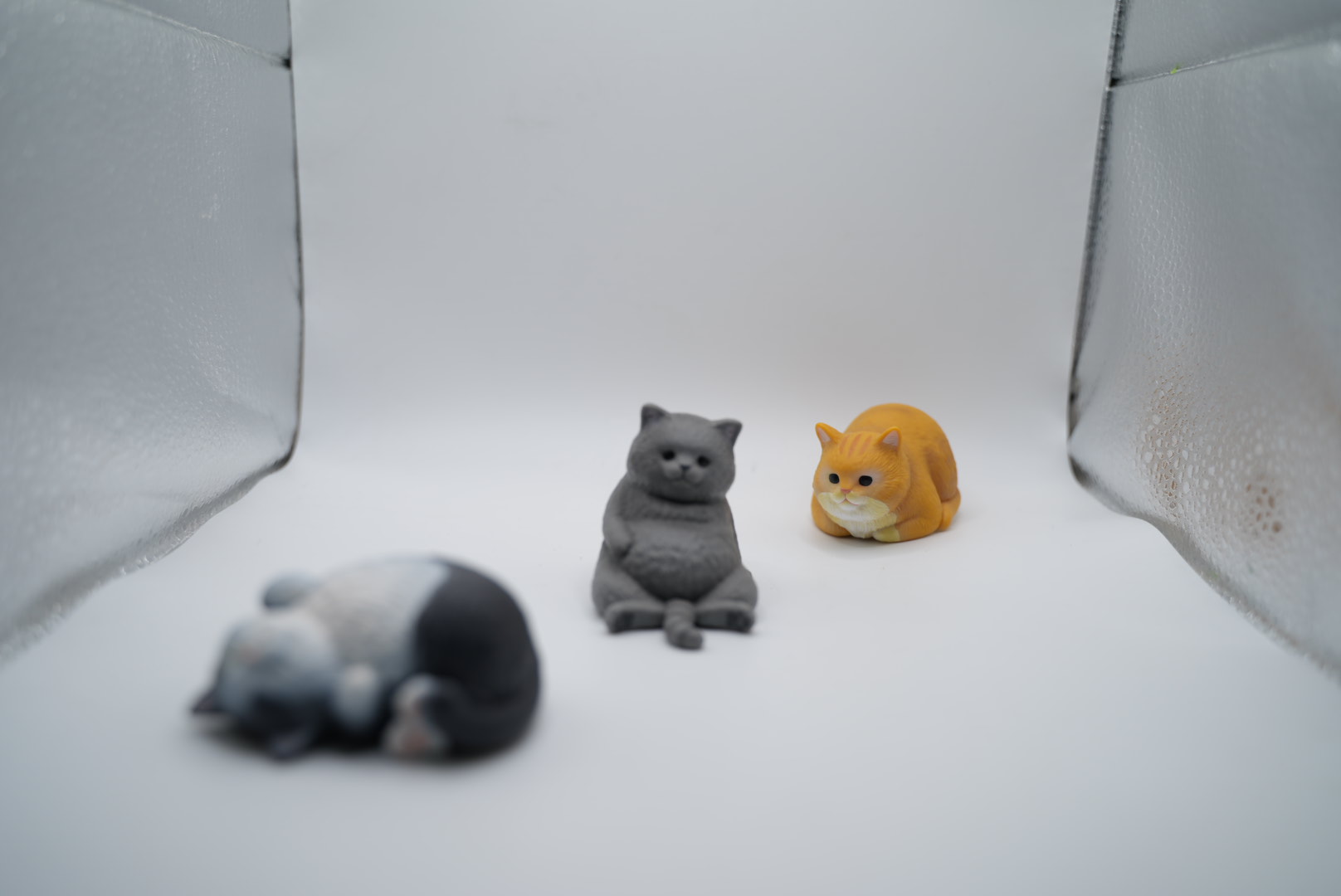 背景の猫にピント