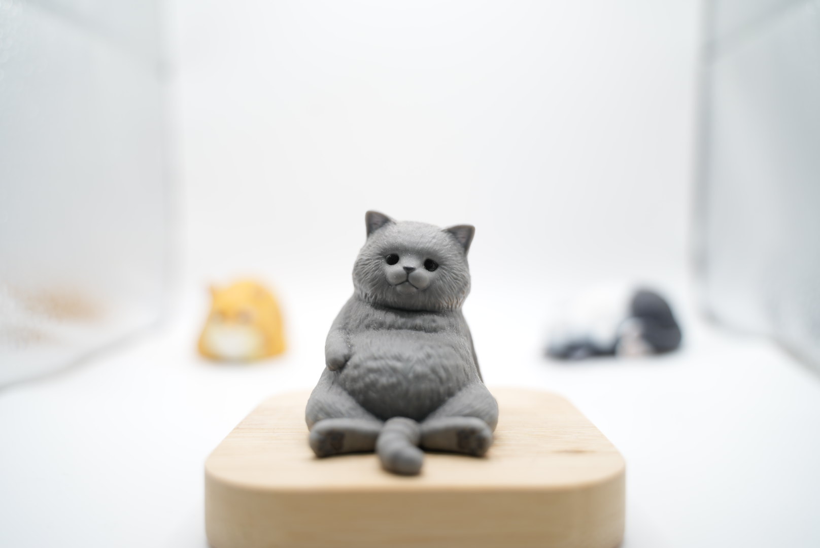 ワイドAFで灰色猫を選択