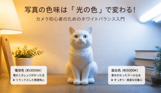 背景がぼけない原因と直し方
