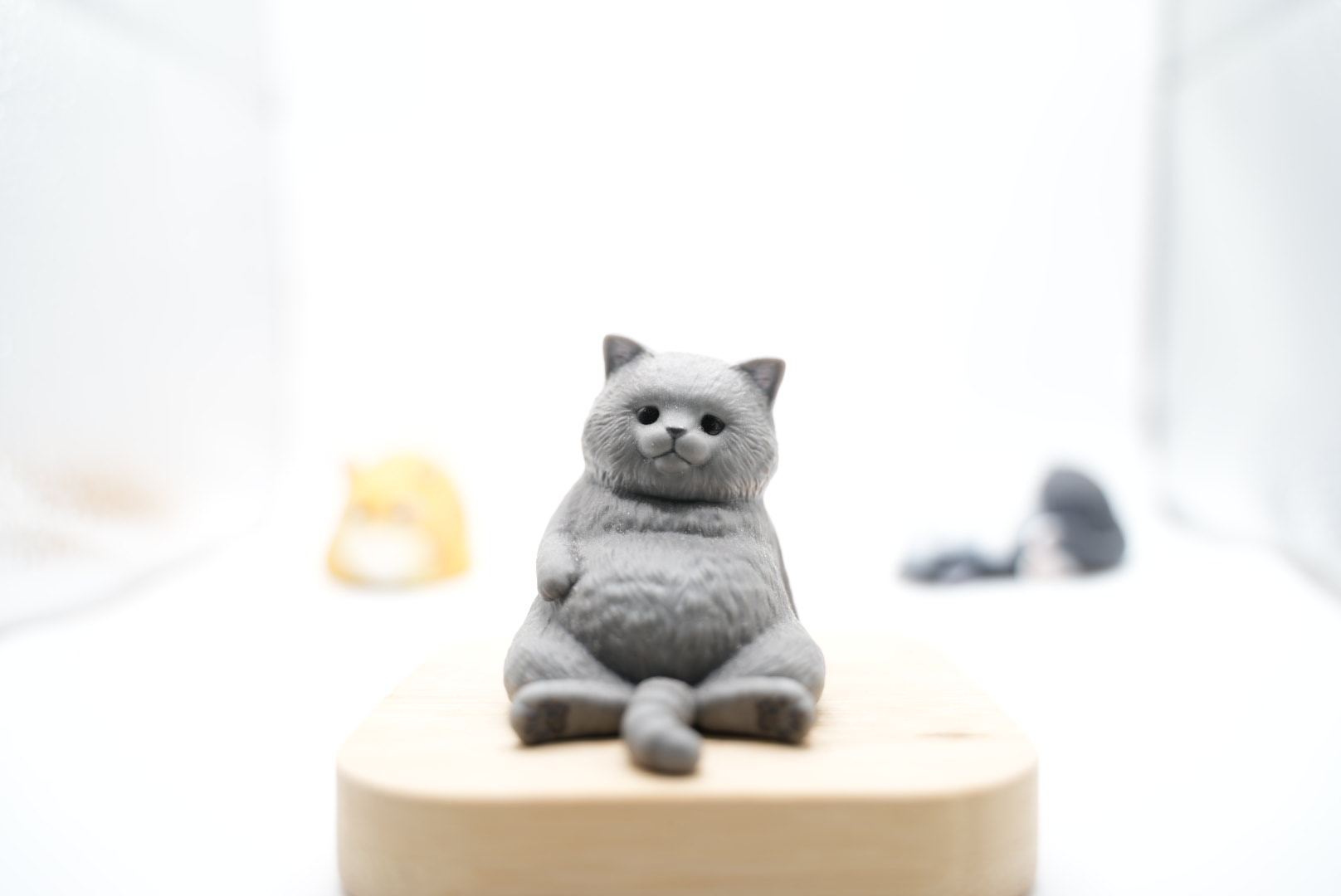 F2.8で明るく写った猫