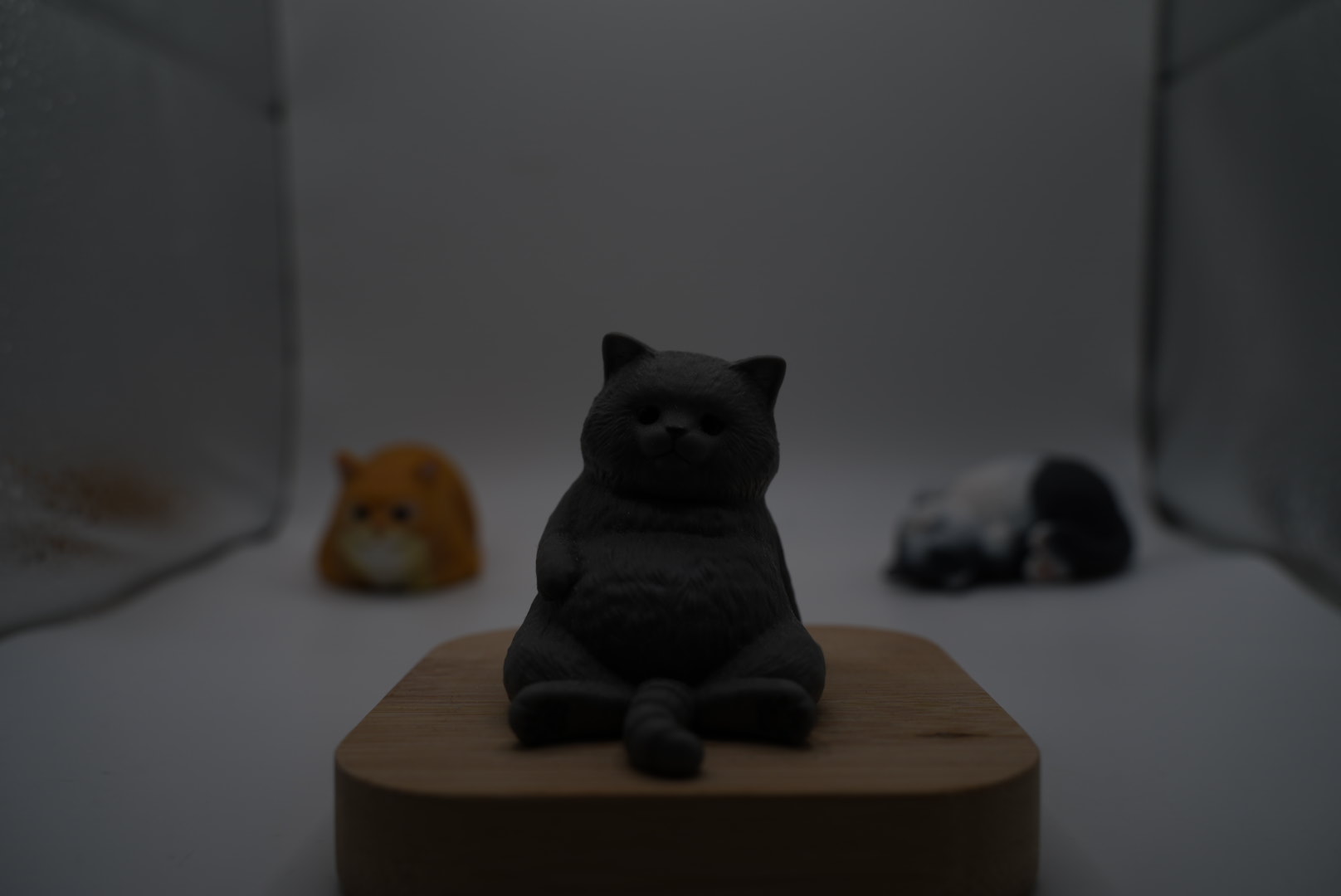 ISO100で暗く写った猫