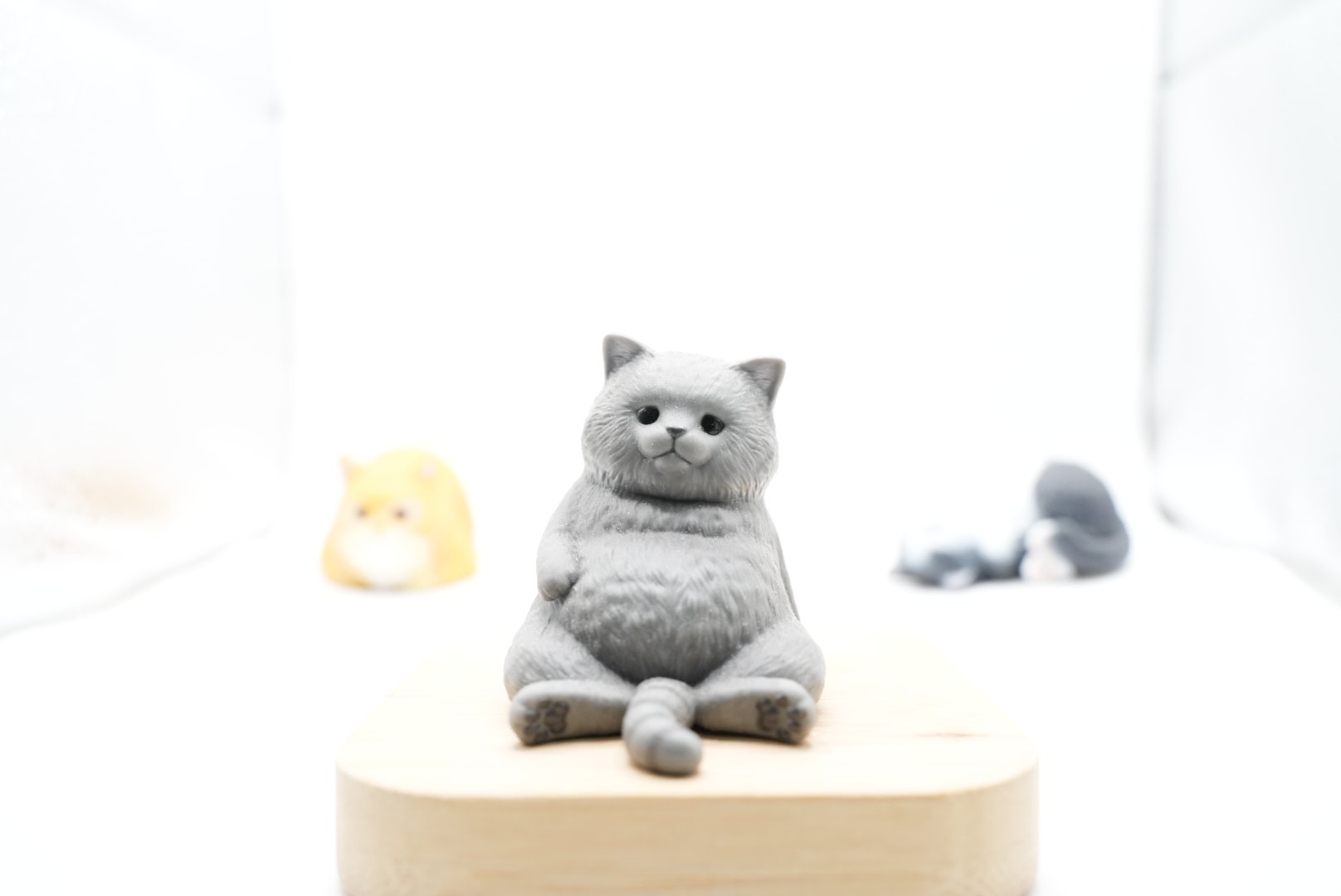 ISO3200で明るく写った猫