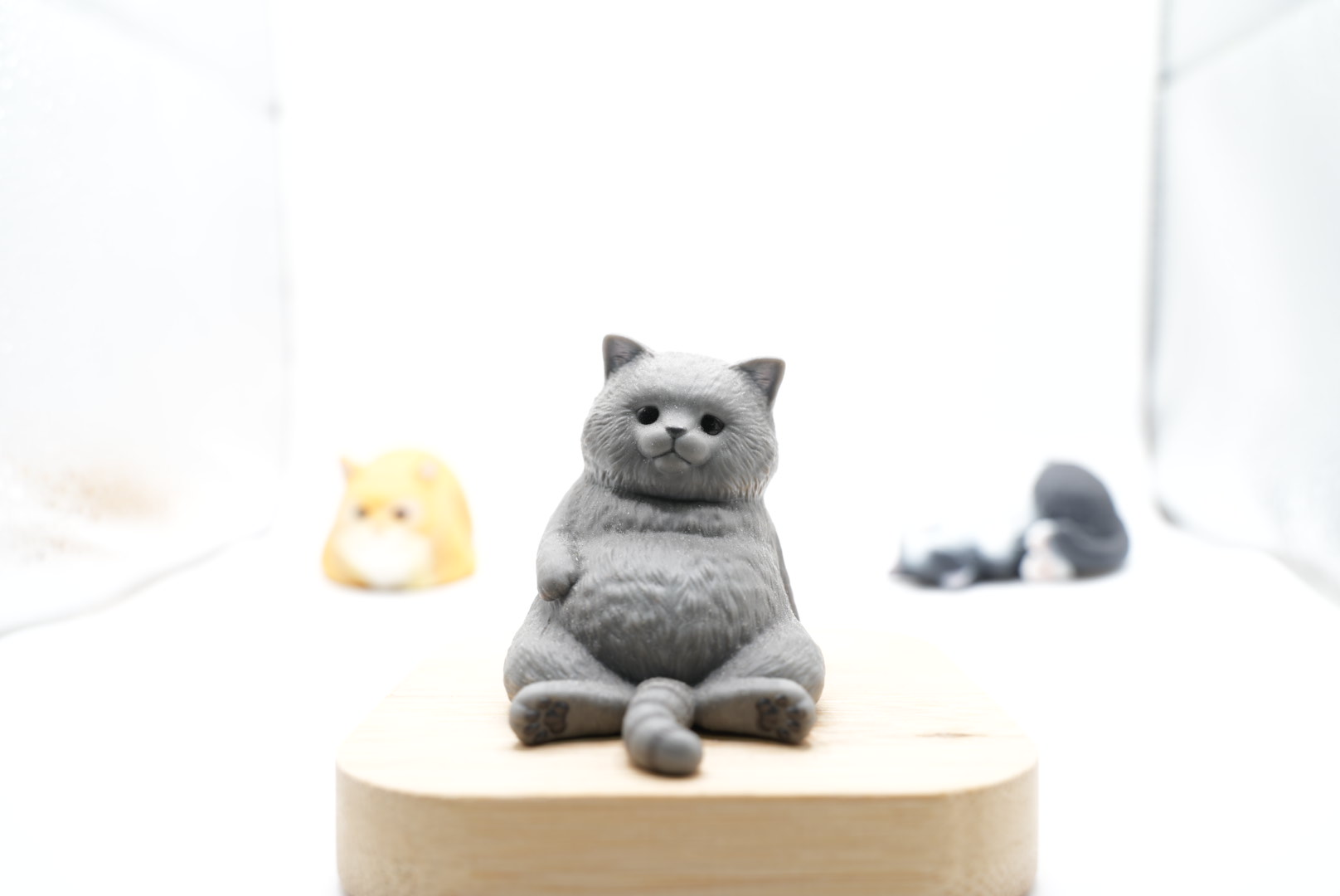 1/10秒で明るく写った猫