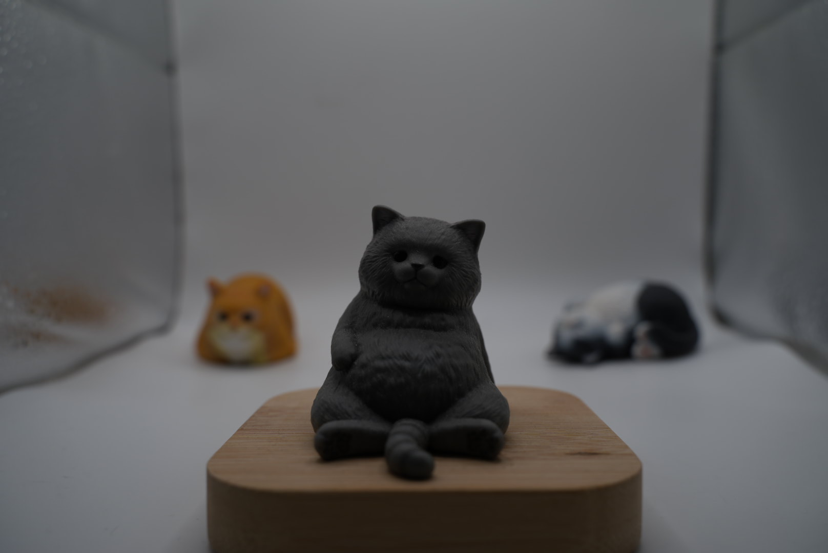 1/160秒で暗く写った猫