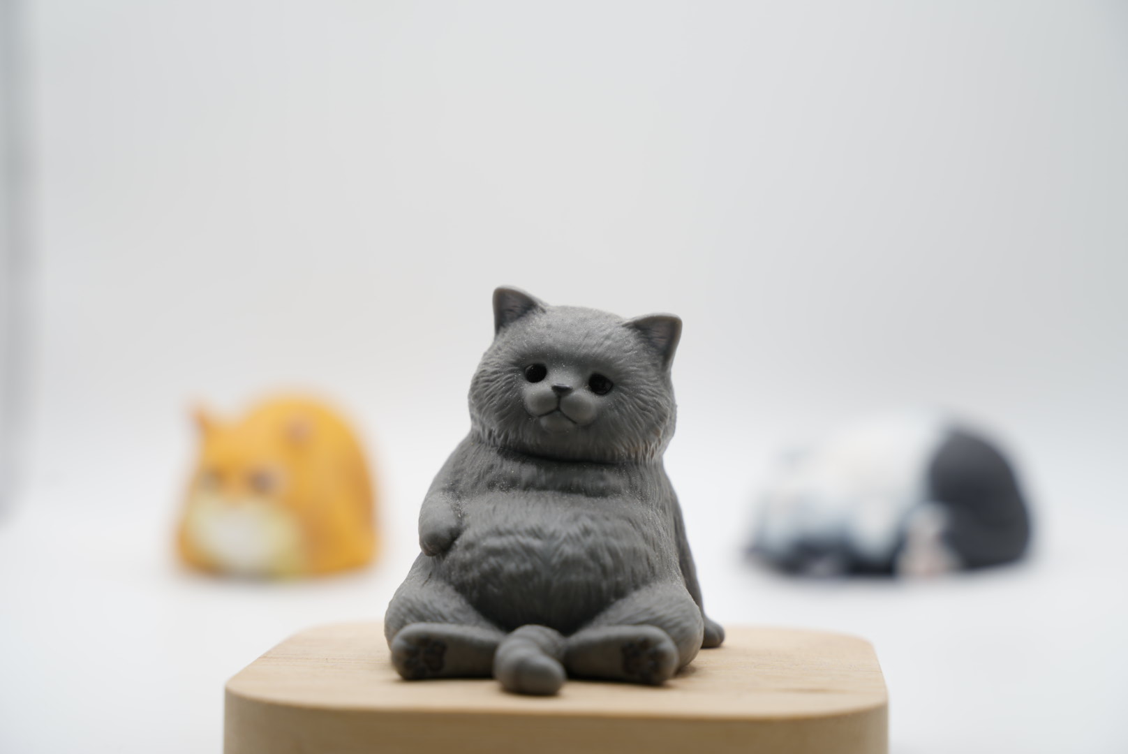 75mmで主役サイズをそろえた写真