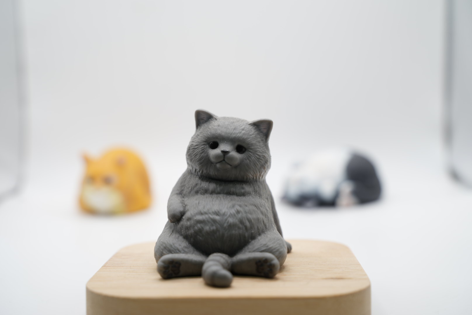 50mmで主役サイズをそろえた写真