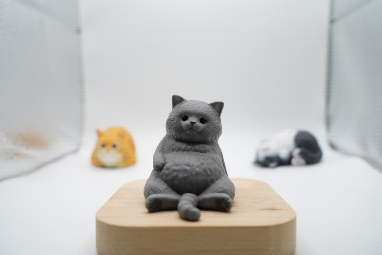 ISO12800の写真