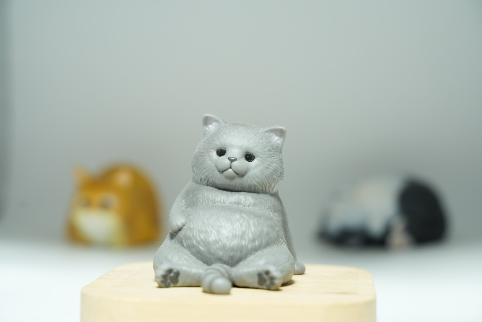 正面からの光