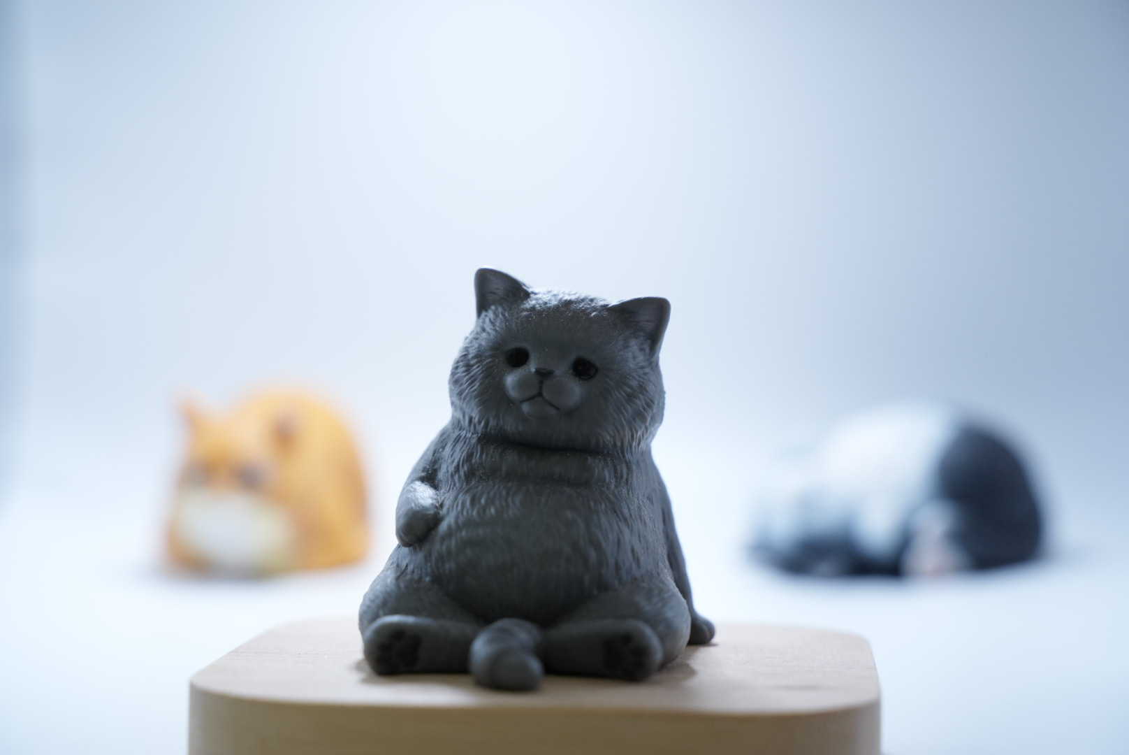 逆光で顔が暗い写真